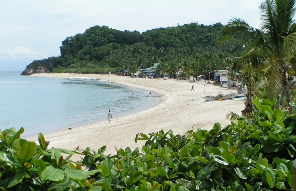 Puerto Galera Whitebeach